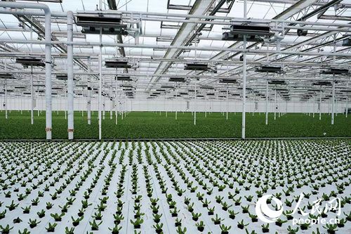 西部大開發新篇章 以高水平開放引領環?？萍碱I域的技術創新