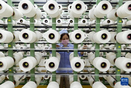 新華全媒 丨河南傳統產業向“新”而行 以環?？萍奸_辟轉型新賽道